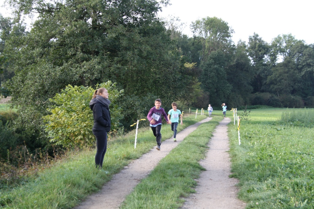 Bild 1 (51)